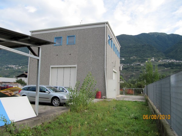 IMG 0355